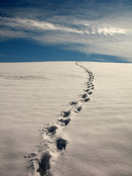 snow,sky,footprints