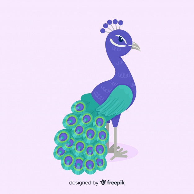 Free: Hand drawn peacock 