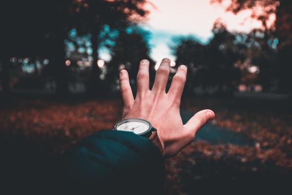 male,hand,outreach,arm,man,person,people,tree,forest,wood,leaf,fall,autumn,watch,time,help