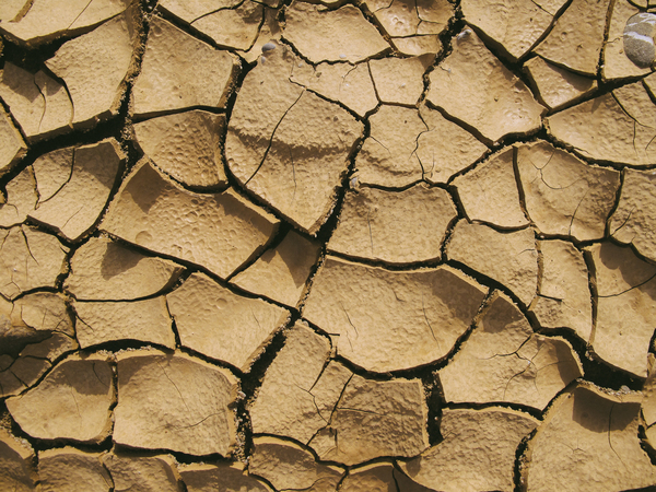 arid,barren,clay,cracks,desert,dirt,drought,dry,ground,soil,terrain