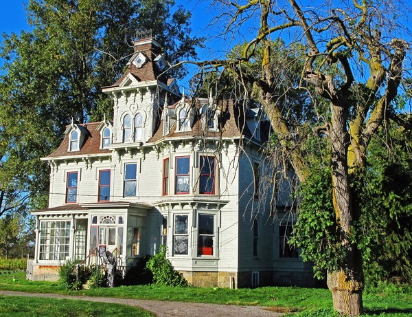 house,home,historic,haunted,mansion,windows,roof,proch,steps,tree,michigan,halloween