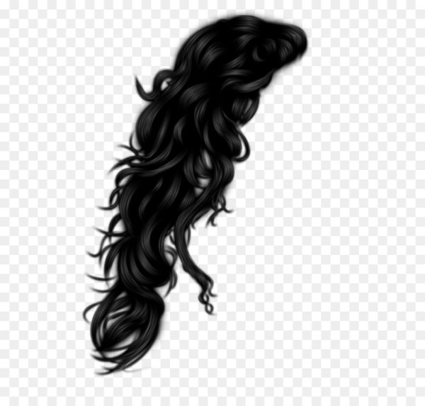 Hairstyle Hairdresser Black hair Hair coloring, hair transparent background  PNG clipart | HiClipart