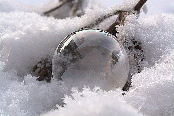 cc0,c1,soap bubble,frozen bubble,frozen,wintry,cold,snow,ball,frost blister,bubble,free photos,royalty free