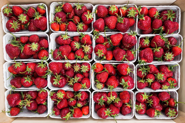 farmers market,filled frame,fruit,red,strawberries,top view