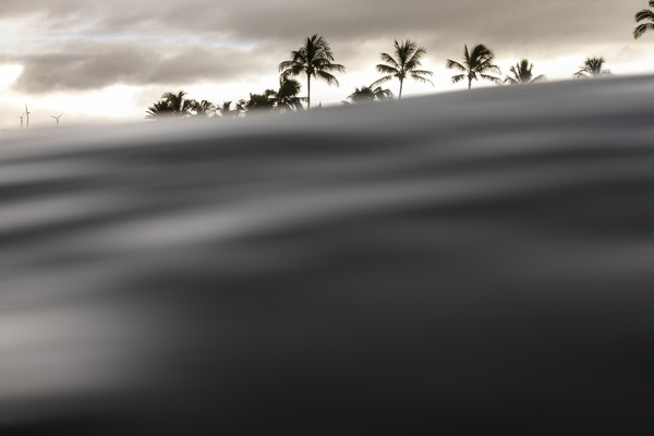 windmill,coconut,tree,plant,clouds,sky,water,waves,nature