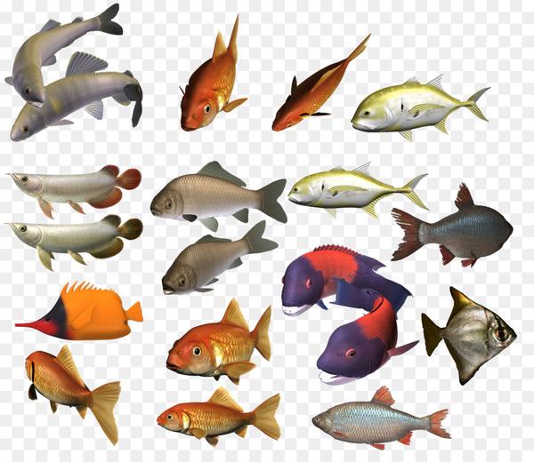 shoaling and schooling,fish,school,image file formats,dots per inch,desktop wallpaper,sticker,download,fauna,organism,marine biology,animal figure,tail,seafood,bony fish,png