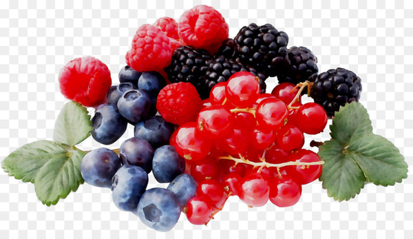 zante currant,raspberry,blueberry,boysenberry,bilberry,cranberry,berries,fruit,food,superfood,stxea nr eur,blackberry,seedless fruit,blackcurrant,natural foods,berry,frutti di bosco,plant,rubus,loganberry,superfruit,dewberry,accessory fruit,bramble,currant,local food,west indian raspberry,flowering plant,ingredient,mulberry,grape,viburnum,vitis,olallieberry,flower,png