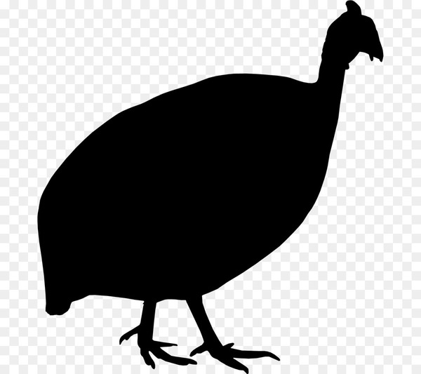 chicken,bird,beak,wing,fauna,silhouette,flightless bird,water bird,chicken as food,galliformes,cassowary,fowl,rallidae,pheasant,ratite,phasianidae,turkey,emu,png