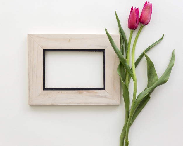 dcor,elevated,fragility,indoors,overhead,softness,pictureframe,freshness,botany,still,isolated,inside,high,empty,photoframe,blank,petal,soft,top,flora,beautiful,view,tulip,blossom,botanical,fresh,life,decorative,natural,desk,elegant,backdrop,white,photo,beauty,red,table,nature,border,flowers,floral,frame,flower,pattern,background