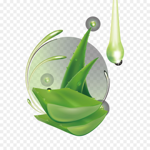aloe vera,leaf,gel,plant,rgb color model,essential oil,water,aloe,green,png