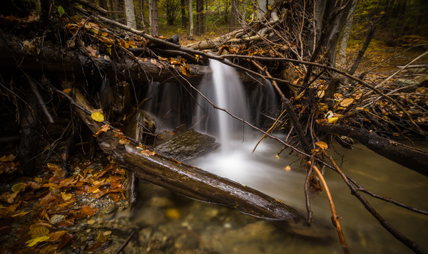 wood,waterfall,water,trunks,trees,tree,time-lapse,stream,river,photograph,outdoors,nature,motion,light,leaves,landscape,forest,fall,environment,creek,cascade,branches