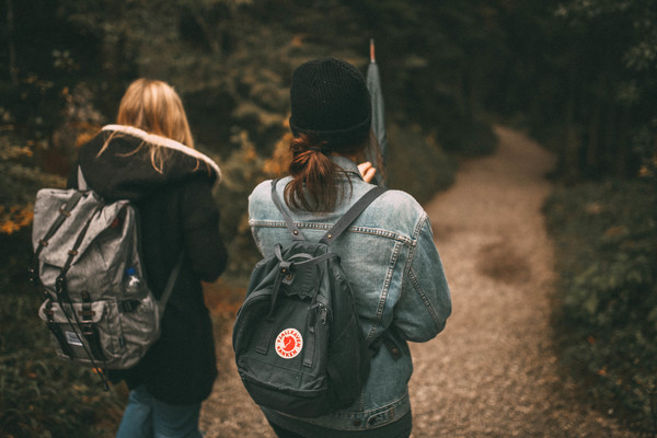 backpack,environment,forest,friends,grass,nature,park,pathway,people,plants,together,tourist,travel,trees,walking,wear,woods,Free Stock Photo