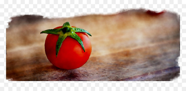 tomato,still life photography,photography,food,local food,still life,solanum,vegetable,red,fruit,natural foods,plant,nightshade family,plum tomato,cherry tomatoes,bush tomato,recipe,png
