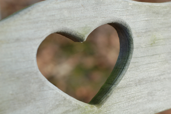 heart,wooden,shape,carved,love,decoration,holiday,valentine,rustic,seat,bench