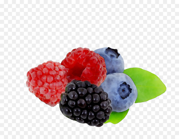 raspberry,boysenberry,blueberry,bilberry,berries,superfood,food,natural foods,fruit,blackberry limited,blackberry,berry,frutti di bosco,rubus,superfruit,west indian raspberry,plant,seedless fruit,accessory fruit,loganberry,dewberry,mulberry,bramble,png