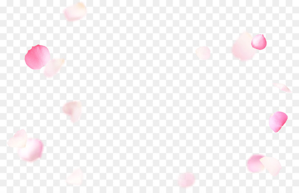 desktop wallpaper,valentine s day,computer,pink m,sky plc,heart,pink,flower,love,macro photography,beauty,blossom,petal,sky,light,computer wallpaper,close up,mouth,skin,lip,magenta,red,png
