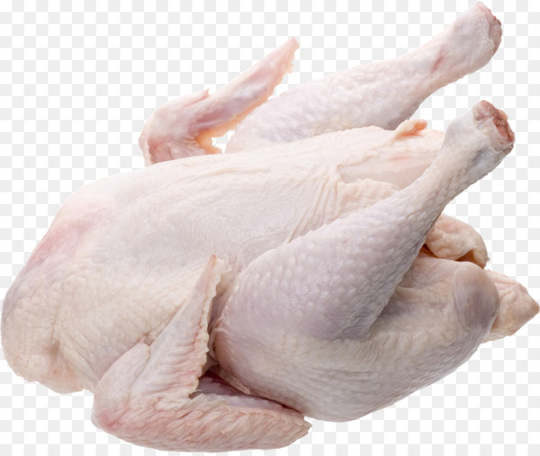 kosher foods,chicken,broiler,chicken meat,poultry,meat,grocery store,fish,turkey meat,brining,food,duck meat,beef,veal,lamb and mutton,animal source foods,white cut chicken,recipe,animal fat,png