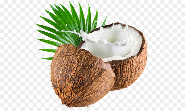 coconut water,coconut milk,milk,coconut,coconut oil,coconut milk powder,coconut sugar,coconut cream,food,coconut cake,nondairy creamer,ingredient,flavor,rice noodles,flowerpot,png