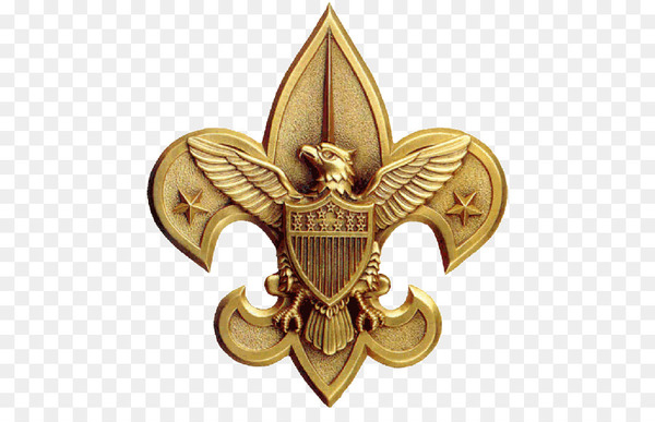 eagle scout,boy scouts of america,world scout emblem,scouting,eagle scout service project,cub scouting,scout troop,cub scout,scout leader,fleurdelis,ranks in the boy scouts of america,symbol,medal,brass,badge,gold,png