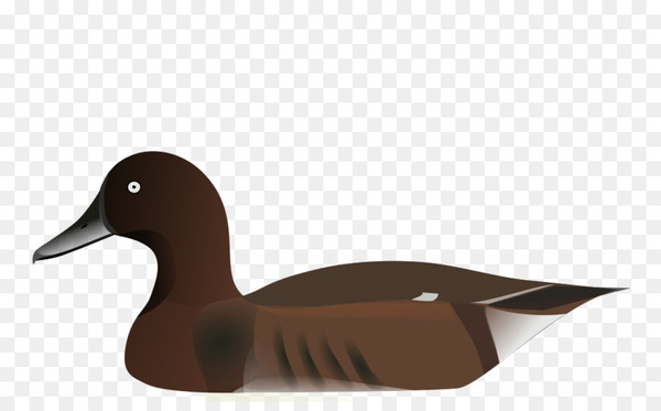 duck,madagascan pochard,tufted duck,madagascar,east,genre,industrial design,past,wikipedia,scalability,withholding tax,diving ducks,water bird,beak,ducks geese and swans,bird,waterfowl,livestock,wing,poultry,png