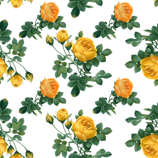 flowering plants,yellow roses,flowering,patterned,tropics,illustrated,blooming,bloom,artwork,petals,drawn,flora,beautiful,background yellow,pattern flower,background white,seamless,blossom,botanical,hand drawing,background flower,plants,pattern background,natural,drawing,flower background,decoration,plant,sketch,roses,yellow,white,flower pattern,tropical,graphic,white background,spring,wallpaper,background pattern,floral pattern,hand drawn,rose,nature,floral background,summer,hand,flowers,floral,flower,pattern,background
