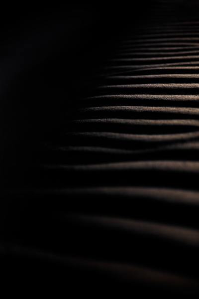 abstract,texture,pattern,scorched,background,patrick hendry,pattern,wallpaper,texture,sand dune,sand,texture,minimal,pattern,dune,desert,line,black and white,textured surface,ripple,dark,free pictures