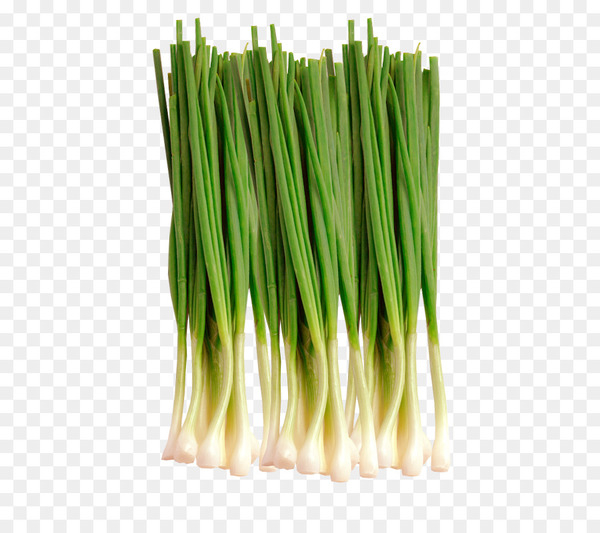 welsh onion,smartory,salad,vegetable,onion,herb,scallion,fruit,leek,coffee,berry,moscow,russia,grass,grass family,plant stem,food,commodity,ingredient,png