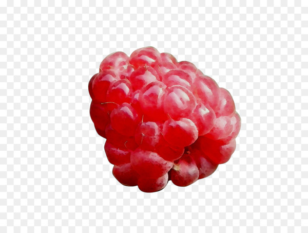 cloudberry,raspberry,boysenberry,loganberry,tayberry,berries,blackberry,zante currant,cranberry,lingonberry,food,fruit,seedless fruit,superfood,red mulberry,berry,rubus,red,frutti di bosco,plant,superfruit,west indian raspberry,png