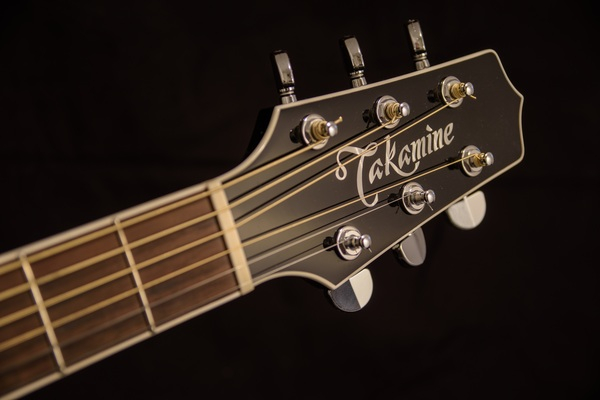 takamine,stringed instrument,musical instrument,macro,instrument,guitar head,guitar,fret,focus,close-up,blur,acoustic guitar