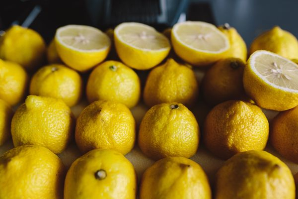 close up,fresh,fruit,lemon,yellow