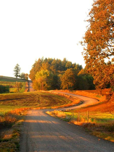 road,path,trees,dirt,curve,way,walkway,country,field,rough,grass,brushes,oregon,sunset,autumn,fall,scenic,nature