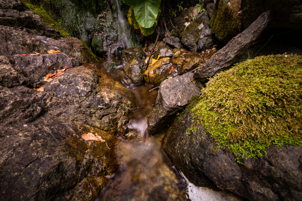 water,stream,stones,rocks,river,moss,boulder