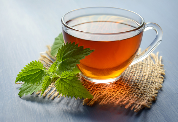 tea,  herbal tea,  nettle,  drink,  hot,  herbal,  mug,  relax,  traditional medicine,  medicinal plant,  alternative