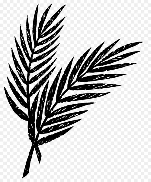 palm sunday,holy week,easter,lent,maundy thursday,passion sunday,palm branch,passion,ash wednesday,eucharist,blessing,arecaceae,mass,cross,jesus,line art,plant,leaf,commodity,monochrome photography,arecales,tree,grass family,woody plant,palm tree,branch,plant stem,monochrome,line,twig,wing,black and white,flowering plant,png