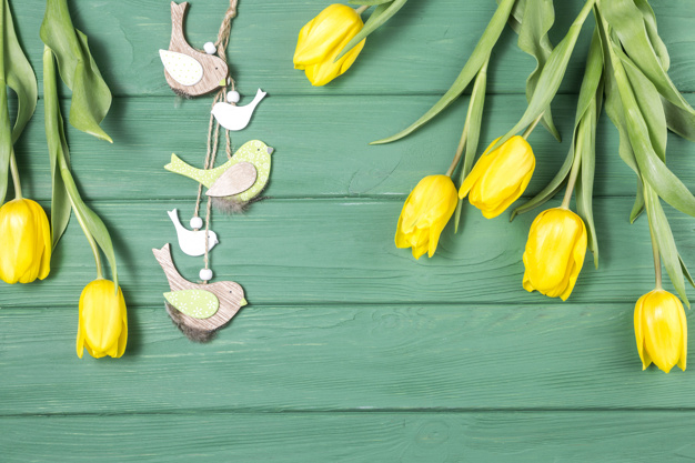overhead,scattered,lay,arrangement,bunch,small,composition,bloom,stem,horizontal,tulips,flat lay,petal,top view,top,decor,bright,beautiful,festive,view,tulip,blossom,wooden background,fresh,bouquet,romantic,wooden,natural,birds,decoration,plant,flat,present,yellow,holiday,colorful,celebration,spring,table,bird,green,leaf,gift,design,floral,flower,background