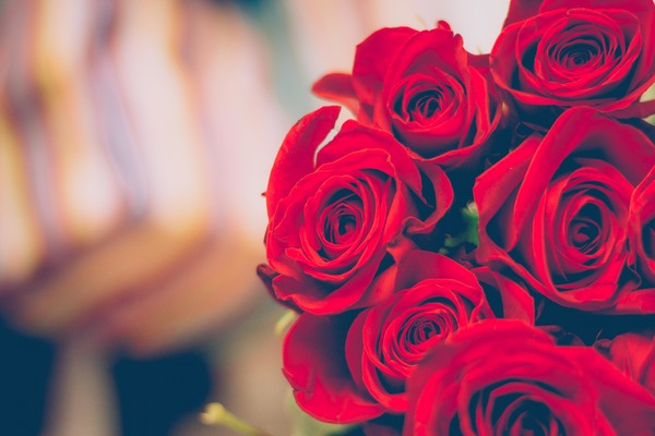 beautiful,bloom,blooming,blossom,blur,blurred,bouquet,close -up,close-up,color,decoration,flora,flowers,petals,red,red roses,roses,Free Stock Photo