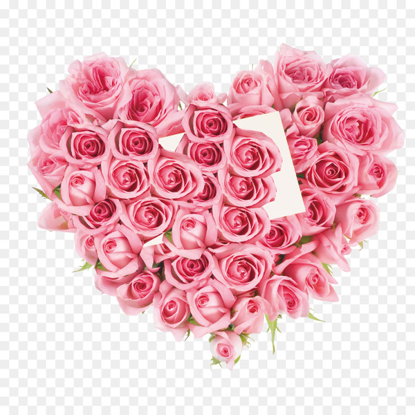 rose,flower,stock photography,pink,royaltyfree,valentines day,stockxchng,photography,love,gift,heart,petal,artificial flower,peach,garden roses,rose family,rose order,valentine s day,rosa centifolia,floral design,cut flowers,flower arranging,magenta,flower bouquet,floristry,flowering plant,png