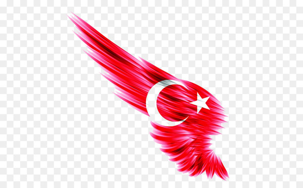 flag of turkey,ottoman empire,flag,istanbul,gallery of sovereign state flags,pinnwand,idea,bing images,emblem,symbol,turkish historical society,mustafa kemal atatxfcrk,turkey,line,close up,magenta,red,png