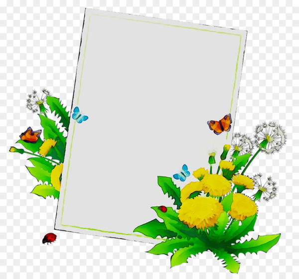floral design,insect,cut flowers,leaf,picture frames,flower,flowering plant,membrane,plants,paper product,plant,png
