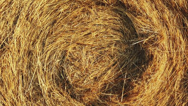 batr,farm,field,sport,man,jump,background,leafe,autumn,straw,bale,hay,bale of hay,dry grass,agriculture,harvesting,golden,haystack,horizontal background,background,horizontal wallpaper