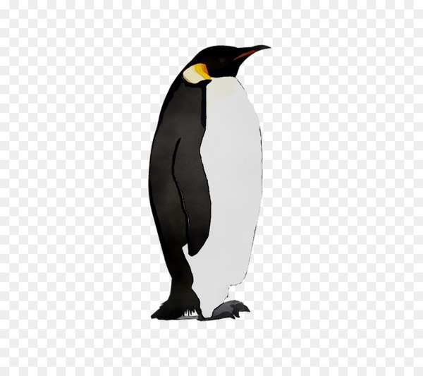 king penguin,penguin,beak,bird,flightless bird,emperor penguin,snares penguin,png