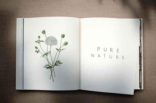 pure nature,book of plants,published,tome,printed,botany,geographic,textbook,publication,pure,pages,educational,blank,flora,botanical,knowledge,dandelion,page,shadow,psd,brown,print,plants,information,environment,natural,plant,white,garden,color,space,magazine,table,nature,green,paper,education,book,floral,mockup,flower