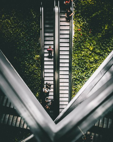 staircase,stairway,stair,interior,table,plant,november,hand,man,person,people,escalator,down,foliage,interior,aerial,building,symmetry,stair,up,urban,free images