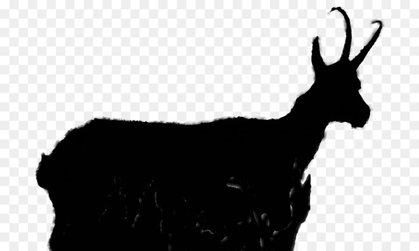 goat,cattle,reindeer,camel,antelope,mammal,caprinae,livestock,pack animal,fauna,silhouette,bovidae,goats,chamois,goatantelope,cowgoat family,wildlife,deer,feral goat,blackandwhite,gazelle,png