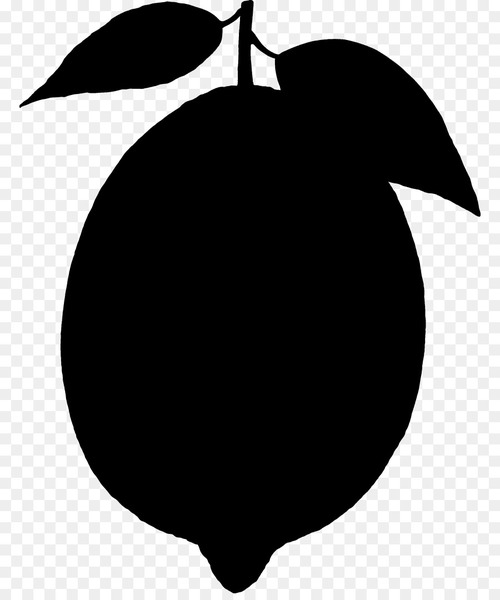 fruit,silhouette,line,flowering plant,leaf,tree,plants,black m,black,plant,blackandwhite,woody plant,apple,logo,fruit tree,circle,malus,png