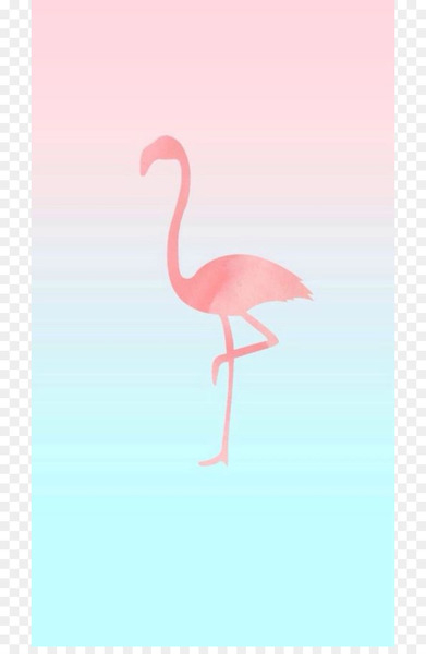 Download wallpaper 840x1160 birds beautiful flamingo iphone 4 iphone  4s ipod touch 840x1160 hd background 6416