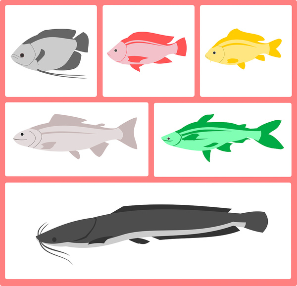 fish,illustration,design,flat,icon,set,symbol,sign,design,graphic,icons,element