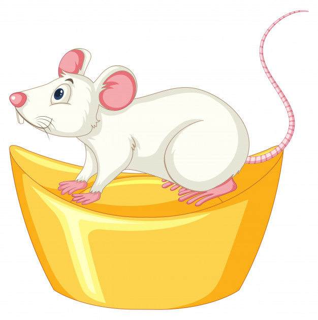 adorable,alive,fauna,creature,living,rat,treasure,mouse,bar,white,animals,cute,chinese,animal,cartoon,character,money,gold