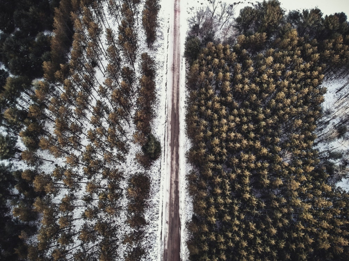 aerial shot,bird&#39;s eye view,from above,road,snow,trees,winter