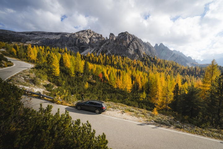 bright,car,colors,daylight,environment,fall colors,forest,grass,landscape,mountains,nature,outdoors,pine trees,road,scenery,scenic,sky,trees,woods